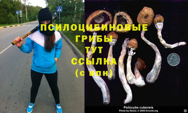 синтетический гашиш Карпинск