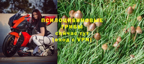 прущие крисы Кинешма