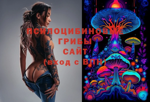МДПВ Касимов