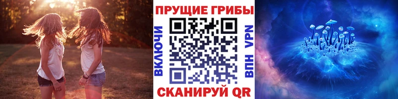 Псилоцибиновые грибы прущие грибы  Купить где  Нарткала 